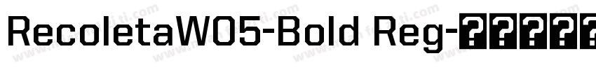 RecoletaW05-Bold Reg字体转换